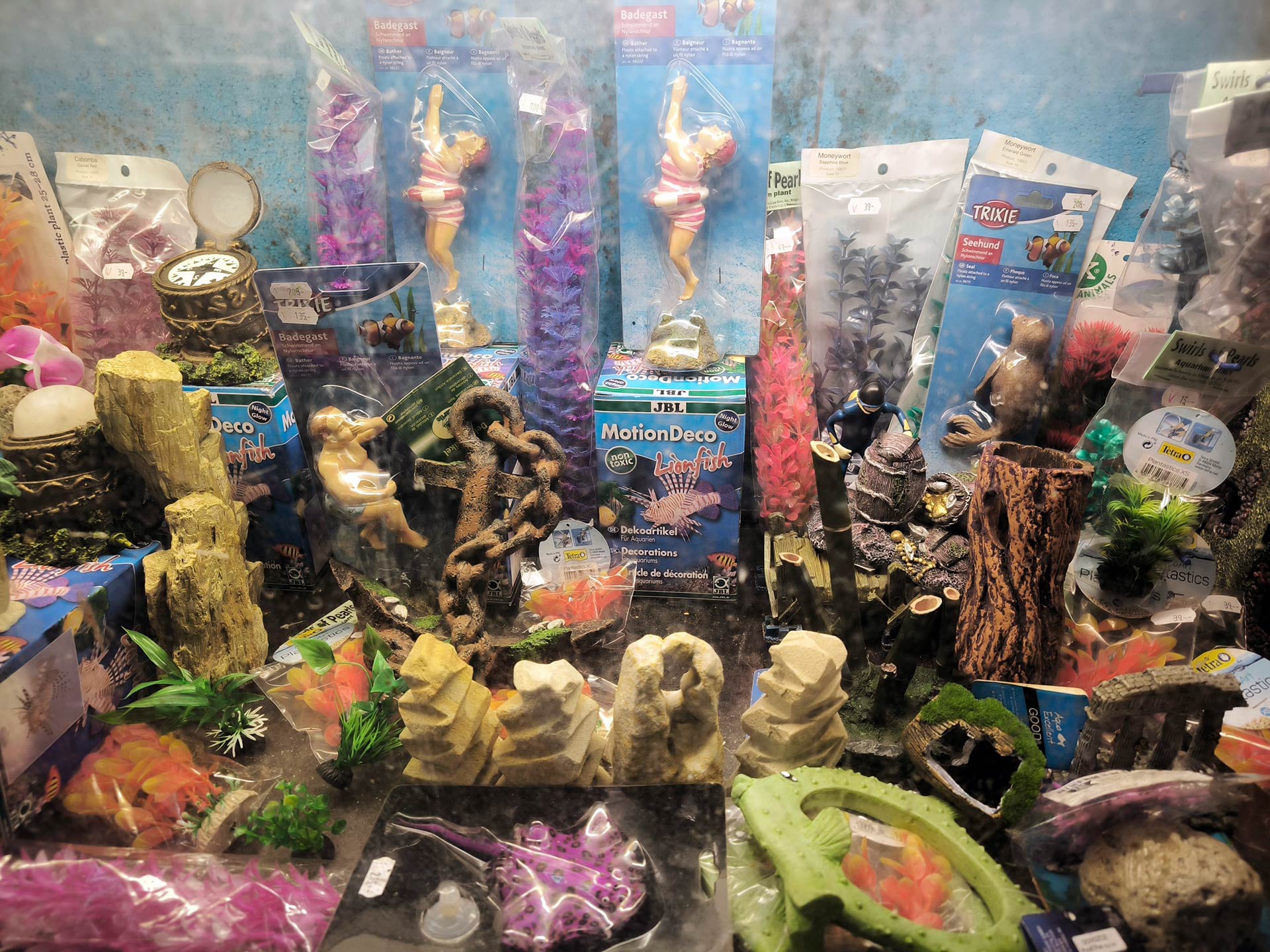 Chov akvarijních ryb Jan Kyzúr Jablonec nad Nisou