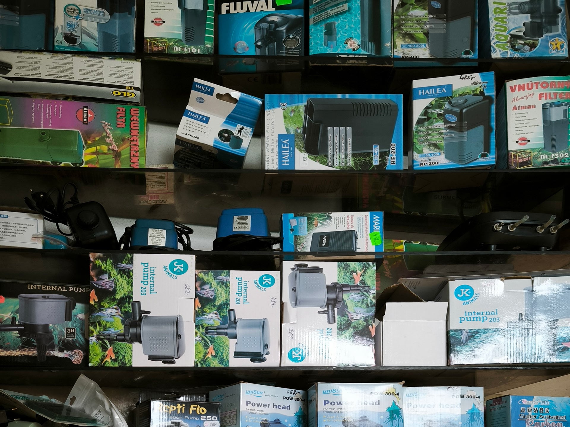 Chova akvarijních rybiček Jan Kyzůr Jablonec nad Nisou