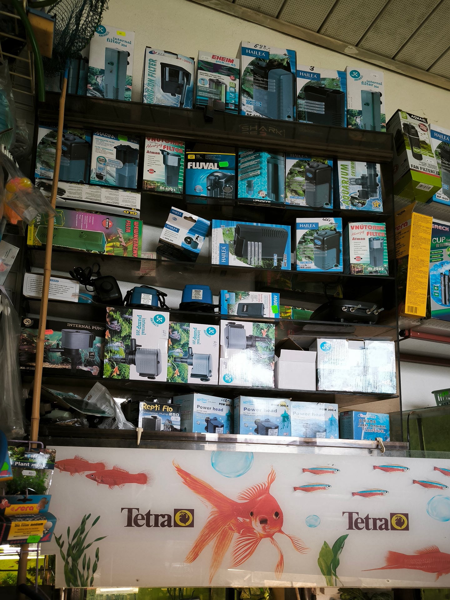 Chova akvarijních rybiček Jan Kyzůr Jablonec nad Nisou