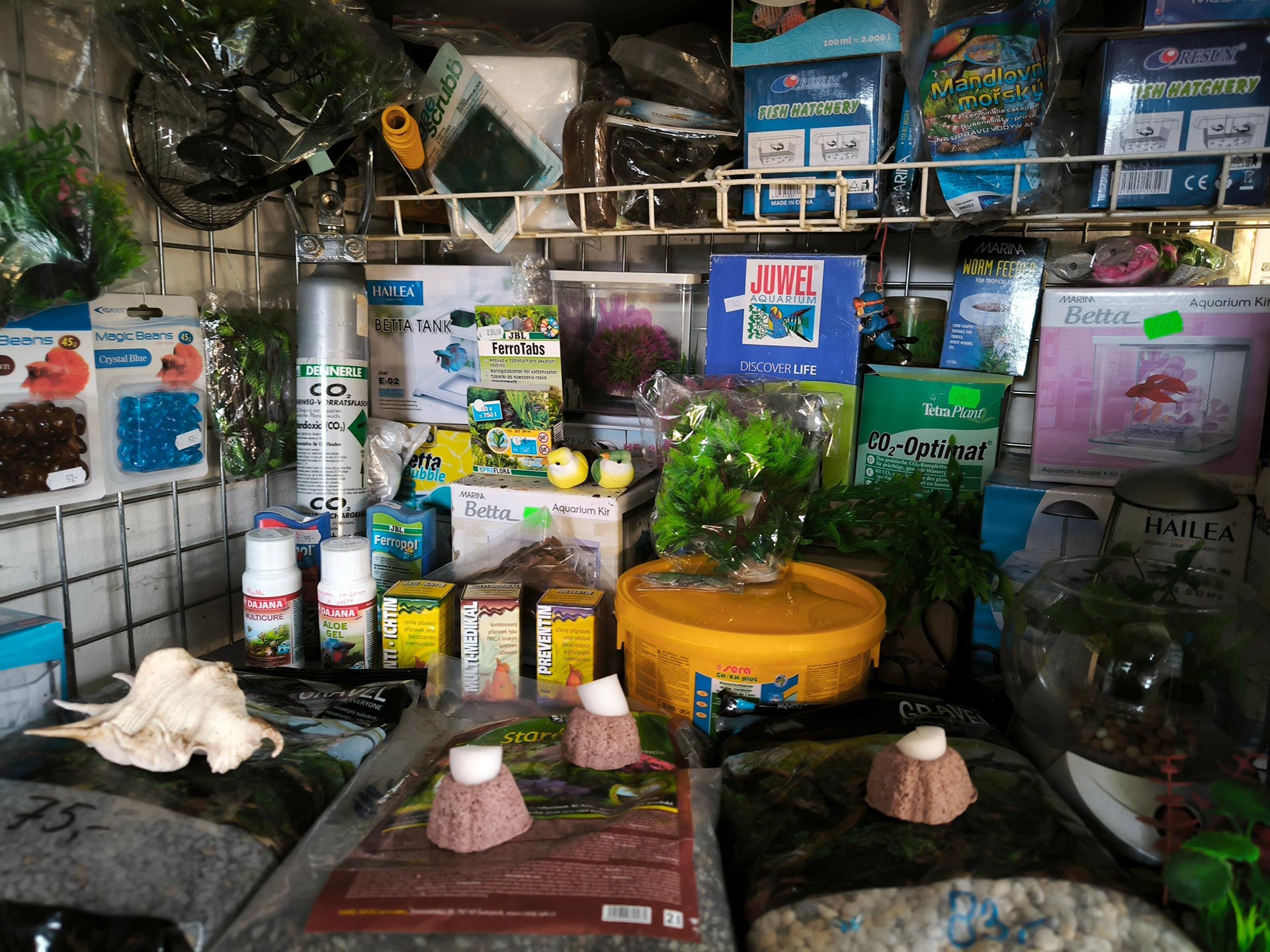 Chova akvarijních rybiček Jan Kyzůr Jablonec nad Nisou