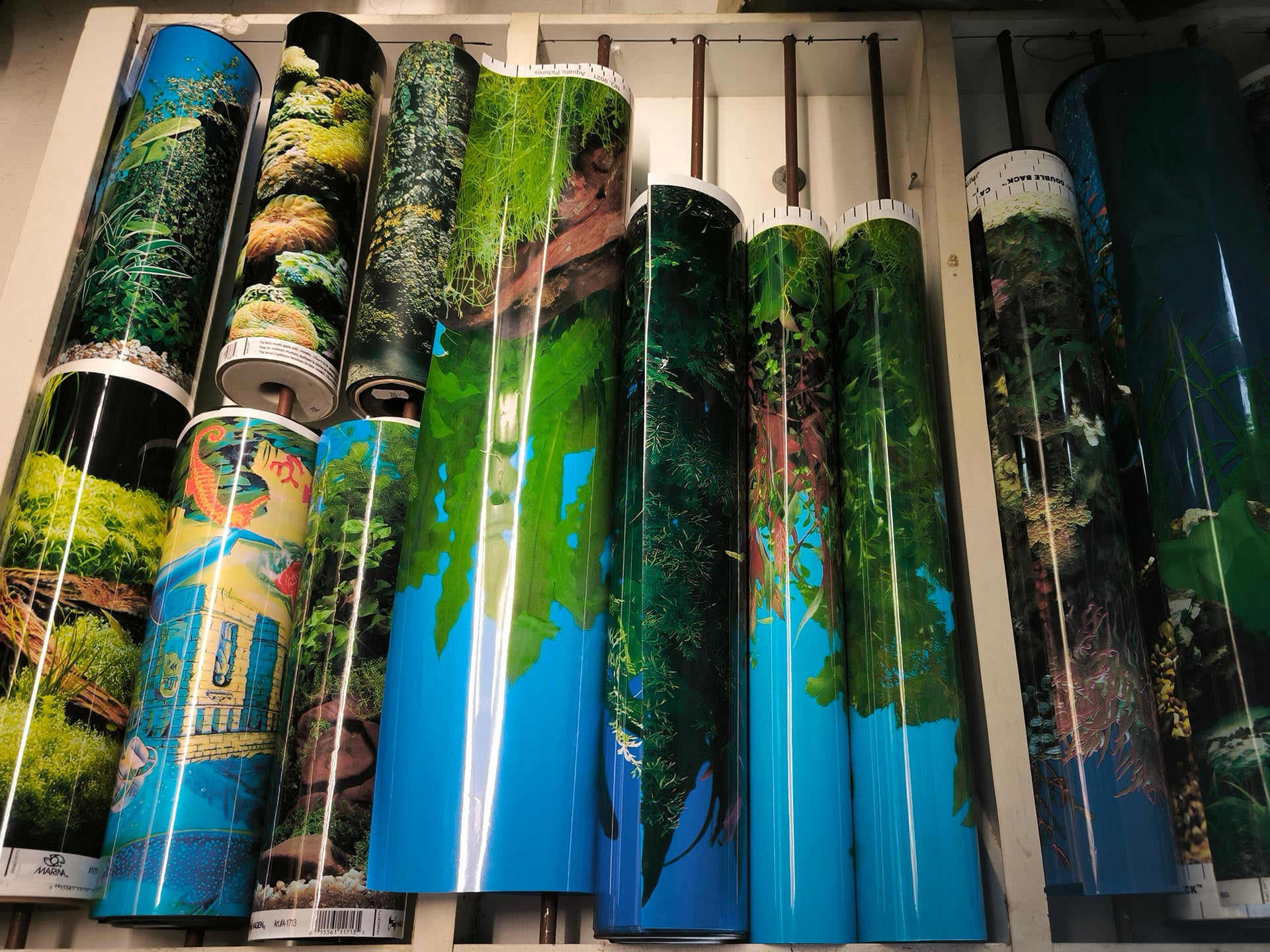 Chova akvarijních rybiček Jan Kyzůr Jablonec nad Nisou